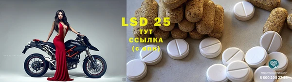 хмурый Горняк